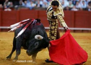http://ervinadyah.files.wordpress.com/2012/11/matador-bullfight-111.jpg?w=299&h=215